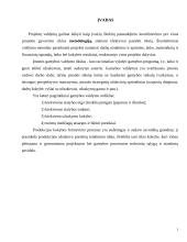 Statybos projektų valdymas 3 puslapis