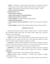 Statybos projektų valdymas 8 puslapis