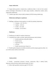 Šaligatvio plytelės gamybos technologijos 2 puslapis