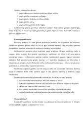 Šaligatvio plytelės gamybos technologijos 11 puslapis