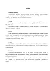 Šaligatvio plytelės gamybos technologijos 8 puslapis