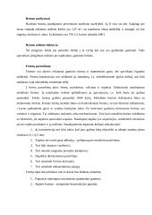 Šaligatvio plytelės gamybos technologijos 9 puslapis