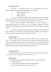 Šaligatvio plytelės gamybos technologijos 10 puslapis