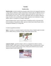 Slidinėjimas 2 puslapis