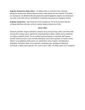 Slidinėjimas 3 puslapis