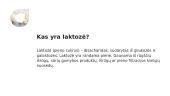 Patiekalų be laktozės poreikis 2 puslapis