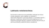 Patiekalų be laktozės poreikis 3 puslapis