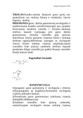 14 fizikos laboratorinių darbų 19 puslapis