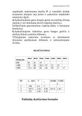 14 fizikos laboratorinių darbų 20 puslapis