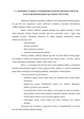 Viešojo saugumo Lietuvoje užtikrinimas 13 puslapis