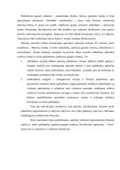 Viešojo saugumo Lietuvoje užtikrinimas 17 puslapis