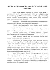 Viešojo saugumo Lietuvoje užtikrinimas 4 puslapis