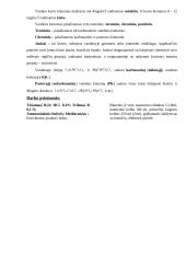 3 chemijos laboratoriniai darbai 4 puslapis
