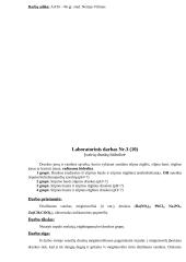 3 chemijos laboratoriniai darbai 8 puslapis