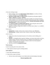 Biologijos temos ''Mityba'' konspektas 8 klasei 2 puslapis