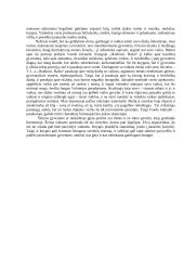 Ar knygos formuoja vertybių sistemą? 2 puslapis