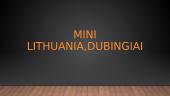 Mini Lithuania, Dubingiai