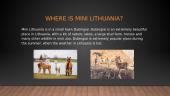 Mini Lithuania, Dubingiai 2 puslapis