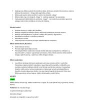 Jonas Biliūnas konspektas apie biografiją ir kūrybą 2 puslapis