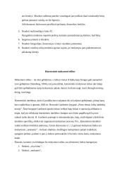 Mokymosi stiliai ir jų nustatymas 7 puslapis