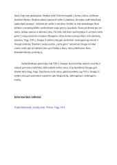 Ko gali pasimokyti XXI a. žmogus iš antikos mitų? 3 puslapis