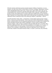 Filosofijos egzaminas 8 puslapis