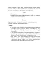 Pateikite konkrečių rašytojų ir jų kūrinių pavyzdžių, kurie sugebėjo apeiti tuometinę cenzūrą (kalbėjimas) 5 puslapis