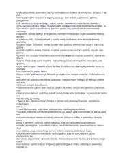 Miško gaisrai 7 puslapis