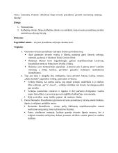 Kaip tėvynės praradimas paveikė tuometinių rašytojų kūrybą (kalba ir planas) 3 puslapis