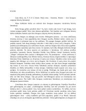 Doro žmogaus samprata lietuvių literatūroje (kalba su planu) 2 puslapis