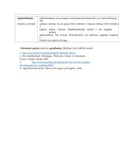 Justino Marcinkevičiaus asmenybė (kalbėjimas su planu) 3 puslapis