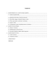 AB „Snaigės“ ilgalaikio materialiojo turto auditas