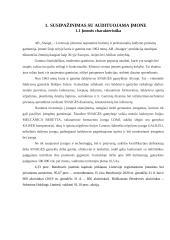 AB „Snaigės“ ilgalaikio materialiojo turto auditas 2 puslapis