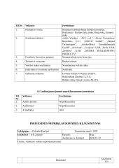 AB „Snaigės“ ilgalaikio materialiojo turto auditas 5 puslapis