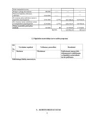 AB „Snaigės“ ilgalaikio materialiojo turto auditas 9 puslapis