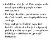Infekcija ir imunitetas 14 puslapis