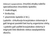 Infekcija ir imunitetas 7 puslapis