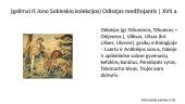 „Odisėjo“ interpretacija literatūroje, dailėje, teatre, muzikoje ir kine 2 puslapis