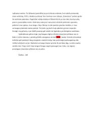 Kaip elgiasi žmonės grėsmės akivaizdoje? 2 puslapis