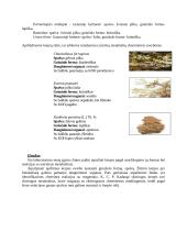 Aplinkos būklės bioindikacija 12 puslapis