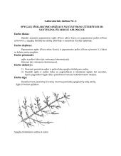 Aplinkos būklės bioindikacija 4 puslapis