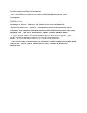 Kaip išsaugoti orumą nužmoginimo sistemoje   3 puslapis