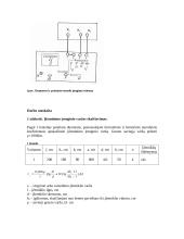 Apsauginio įžeminimo ir specifinės grunto varžos tyrimas 2 puslapis