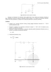 Apsaugos TT tinkle testavimas: Įžeminimo varža 4 puslapis