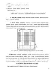 Apšvietimo parametrų patalpoje tyrimas 5 puslapis