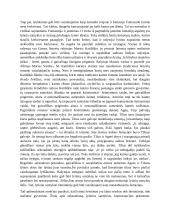 Lytiškumo tema lietuvių literatūroje (R. Granauskas, M. Katiliškis) 2 puslapis