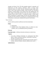 Lytiškumo tema lietuvių literatūroje (R. Granauskas, M. Katiliškis) 3 puslapis