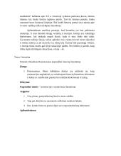 Rezistencijos atspindžiai lietuvių literatūroje 3 puslapis