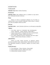 Moters vaidmuo literatūroje (kalba ir planas) 4 puslapis