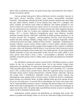 Kaip pilietiškumas reiškiasi skirtingų laikotarpių Lietuvos literatūroje 2 puslapis